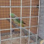 Bistrorante-84 Rábapaty - Egyéb