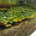 Bistrorante-84 Rábapaty - Egyéb