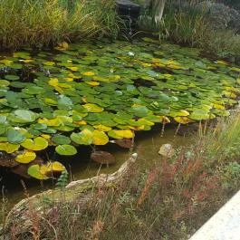 Bistrorante-84 Rábapaty - Egyéb