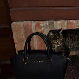 Chianti Étterem Veszprém - Egyéb