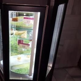 Ciklámen Eszpresszó, Hévíz - Belső