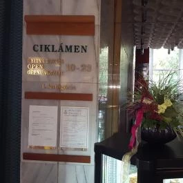 Ciklámen Eszpresszó, Hévíz - Belső