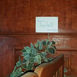 Csendes Pihenő Étterem, Vásárosdombó - Mosdó