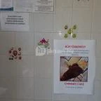 Csopi Fagyizó Csopak - Belső