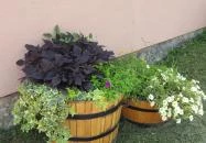 Csopi Fagyizó Csopak