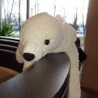 Dzsembori Balatonfüred - Belső