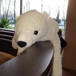 Dzsembori, Balatonfüred - Belső