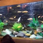 Elefánt Étterem Veszprém - Belső