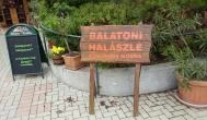 Fék Kávéház Étterem Balatonakali - Külső kép Fék Kávéház Étterem Balatonakali - Külső kép