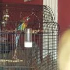 Fekete Bors Étterem Veszprém - Egyéb