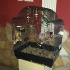 Fekete Bors Étterem Veszprém - Belső