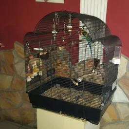 Fekete Bors Étterem Veszprém - Belső