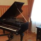 Fenyőharaszt Kastélyszálló Verseg - Belső