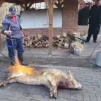 Fenyőharaszt Kastélyszálló Verseg - Egyéb