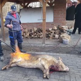 Fenyőharaszt Kastélyszálló, Verseg - Egyéb