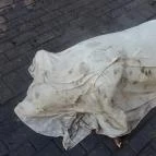 Fenyőharaszt Kastélyszálló Verseg - Egyéb