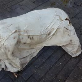 Fenyőharaszt Kastélyszálló, Verseg - Egyéb