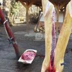 Fenyőharaszt Kastélyszálló Verseg - Egyéb