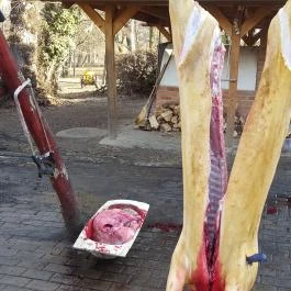 Fenyőharaszt Kastélyszálló, Verseg - Egyéb