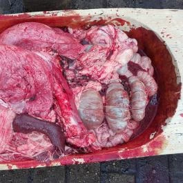 Fenyőharaszt Kastélyszálló, Verseg - Egyéb