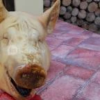 Fenyőharaszt Kastélyszálló Verseg - Egyéb