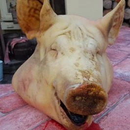 Fenyőharaszt Kastélyszálló, Verseg - Egyéb