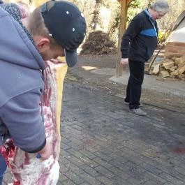 Fenyőharaszt Kastélyszálló, Verseg - Egyéb