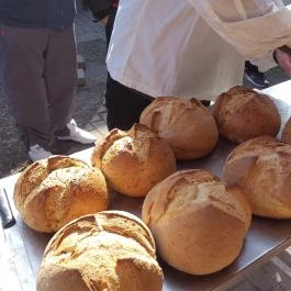 Fenyőharaszt Kastélyszálló, Verseg - Vendéglátás