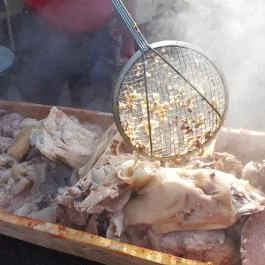 Fenyőharaszt Kastélyszálló, Verseg - Vendéglátás