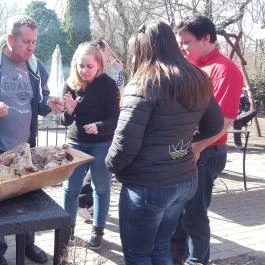 Fenyőharaszt Kastélyszálló, Verseg - Vendéglátás