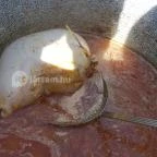 Fenyőharaszt Kastélyszálló Verseg - Vendéglátás