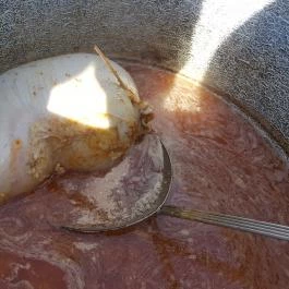 Fenyőharaszt Kastélyszálló, Verseg - Vendéglátás