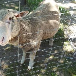 Festetics Imre Állatpark, Keszthely - 