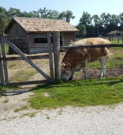 Festetics Imre Állatpark