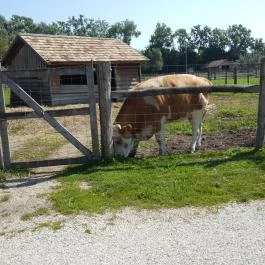 Festetics Imre Állatpark, Keszthely - 