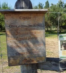 Festetics Imre Állatpark