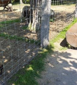 Festetics Imre Állatpark