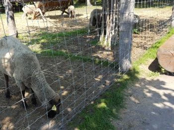 Festetics Imre Állatpark Keszthely