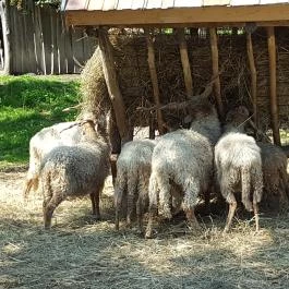 Festetics Imre Állatpark, Keszthely - 