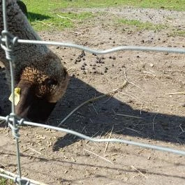 Festetics Imre Állatpark, Keszthely - 