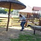 Festetics Imre Állatpark Keszthely - 