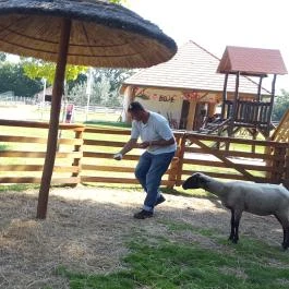 Festetics Imre Állatpark, Keszthely - 