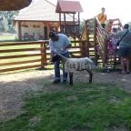 Festetics Imre Állatpark Keszthely - 