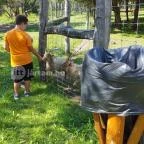 Festetics Imre Állatpark Keszthely - 