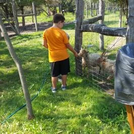 Festetics Imre Állatpark, Keszthely - 