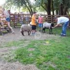 Festetics Imre Állatpark Keszthely - 