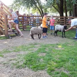 Festetics Imre Állatpark, Keszthely - 