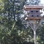 Festetics Imre Állatpark Keszthely - 