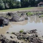 Festetics Imre Állatpark Keszthely - 