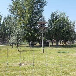 Festetics Imre Állatpark, Keszthely - 